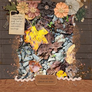 Around the Acres : Autumn Leaves