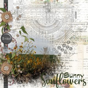 Sunny Sunflowers