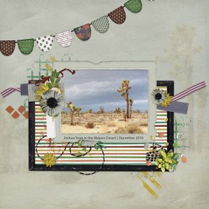 Joshua Trees