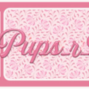 GS - Oct 2024 Pink Siggy