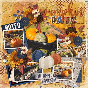 Pumpkin Patch