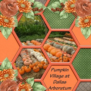 Pumpkin Vllage at Dallas Arboretum