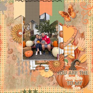 Pumpkin Patch