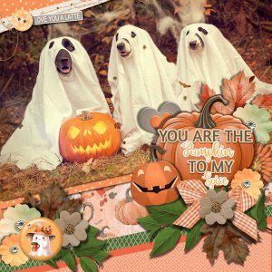 You Are The Pumpkin To My Spice