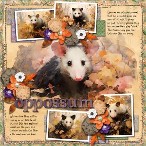 Opposum