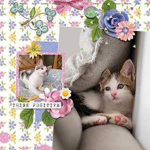 Think Pawsitive
