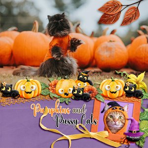 Pumpkin Cats
