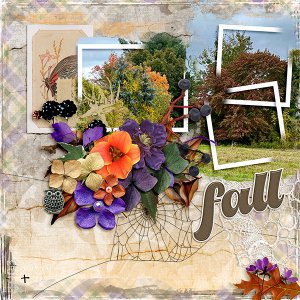 Fall