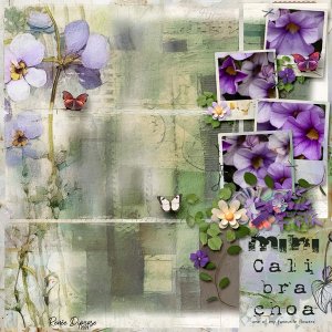 Calibrachoa