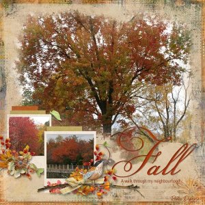 Fall in my Neighbourhood