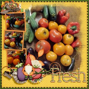 Fresh