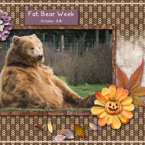 Fat Bear Week