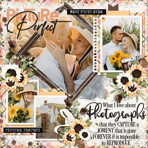 Picture Perfect