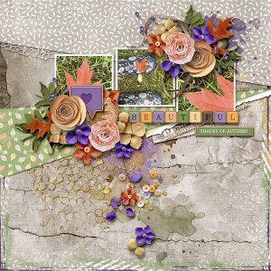 Shades of Autumn