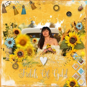 Fields of Gold