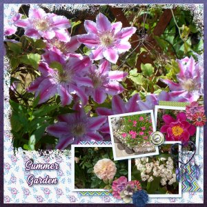 Summer Garden
