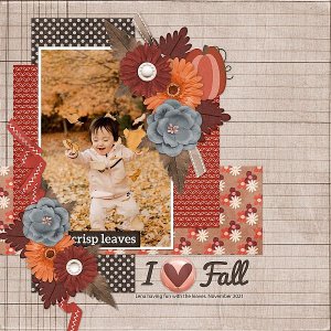 I Love Fall