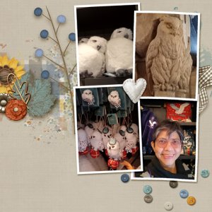 owls