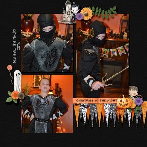Matthew the Ninja