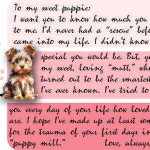 To My Sweet Puppie