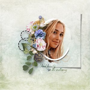 find the beauty in the ordinary