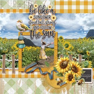 Sunflower Field
