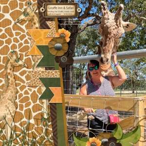 Animal Kingdom from Designs by Connie Prince