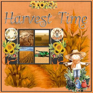Harvest Time