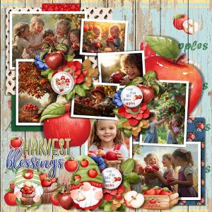 Harvest Blessings 2024