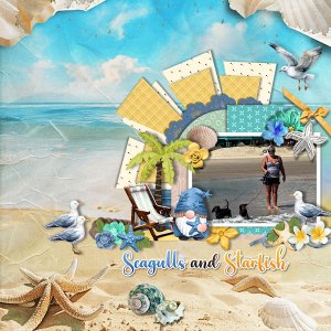 Seagulls And Starfish