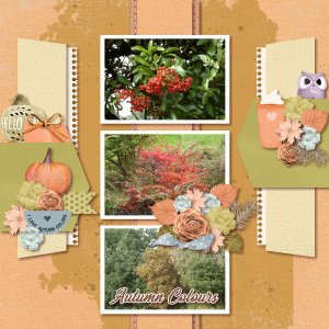 Autumn Colours