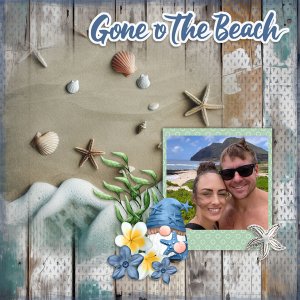 Seagulls and Starfish-ScrapbookCrazy