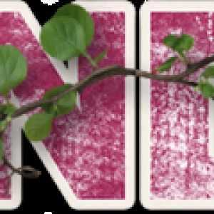 Oct 2024 Signature