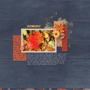 2024-10-DSD-white space challenge