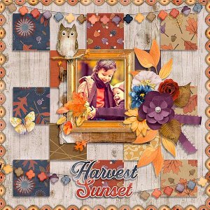 Harvest Sunset