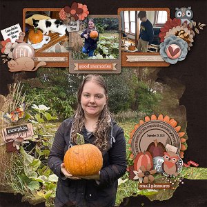 Pumkin Picking Time