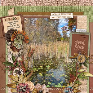 Fall Foliage and Pond