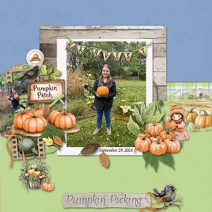 Home Grown Pumpkins