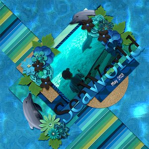 seaworld-dolphin-521