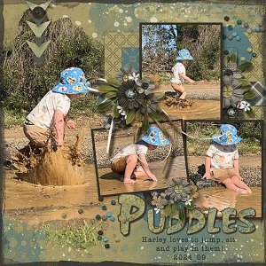 Puddles