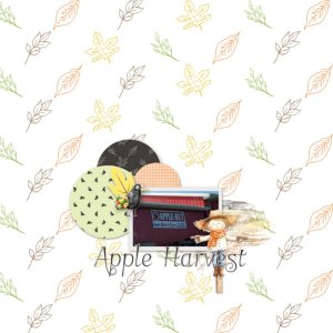 DSD-2024-White-Space
