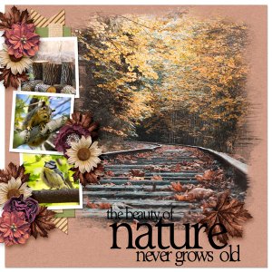 Beauty of Nature