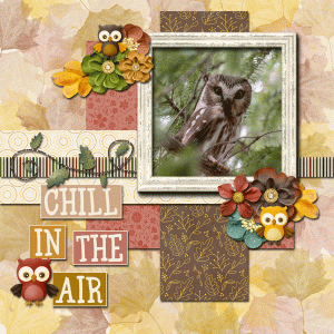 10-Oct-24-Memory-Mix-Up-Challenge