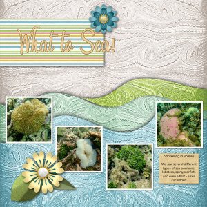 What to Sea - snorkeling in Roatan