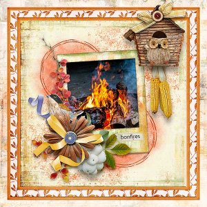 Bonfires