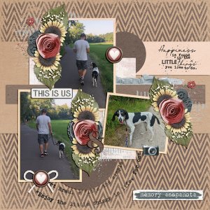 story snippets
