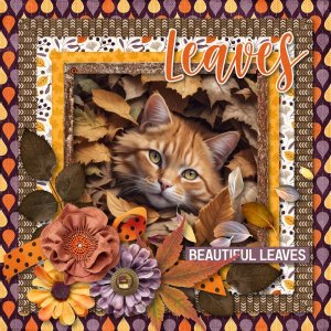 beautiful leaves