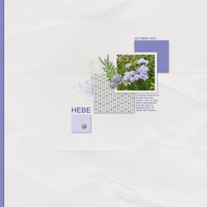 DSD White Space: Hebe