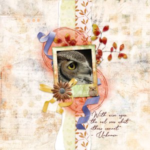 Eye of the Owl