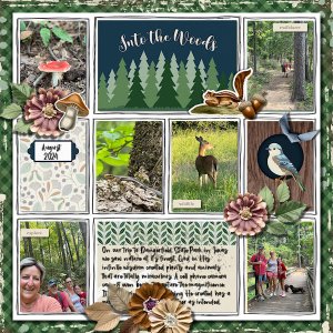 DLPatt_IntoTheWoods_August2024_web